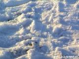 053Schnee.JPG