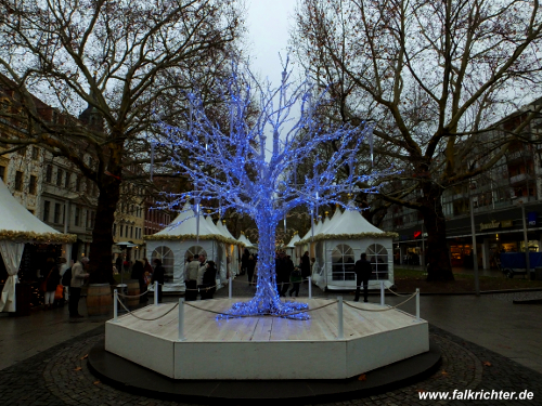Blauer Baum auf dem Augustusmarkt